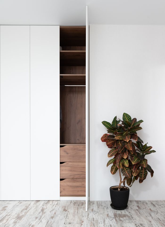 project-01-b Fresh exotic fire croton potted plant placed on floor near minimalist white wardrobe with opened door in modern apartment